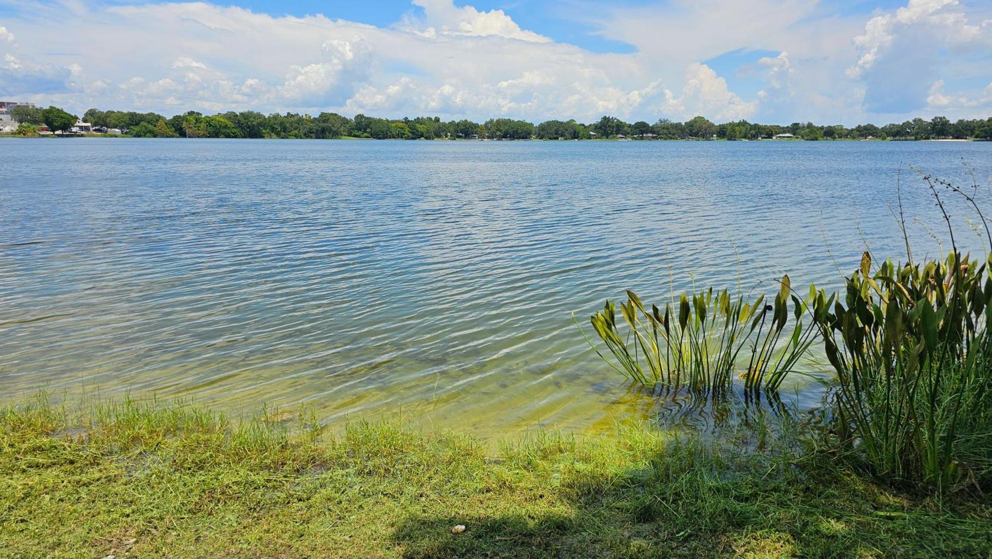 ווינטר הייבן Lakeside Lofts At Lake Martha מראה חיצוני תמונה