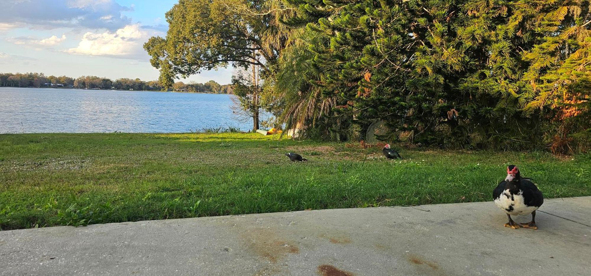 ווינטר הייבן Lakeside Lofts At Lake Martha מראה חיצוני תמונה